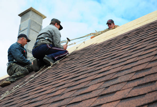Best Shingle Roofing Installation  in Ouray, CO